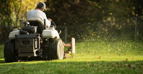Lawn-Care3-2540923935