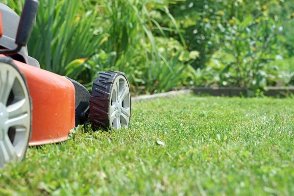 lawn-maintenance-2162071355