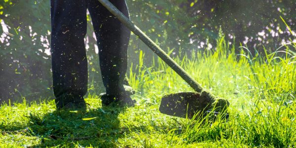 professional-grass-cutting-scaled-4163199583